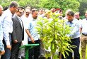 বিএনপির প্রতিষ্ঠাবার্ষিকীতে জিয়া উদ্যানে বৃক্ষরোপণ করলেন তারেক রহমান